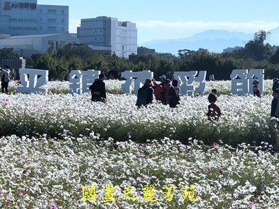 20191201---平鎮花彩節 (50).jpg