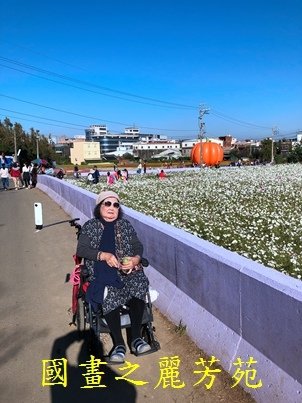 20191201---平鎮花彩節 (59).jpg