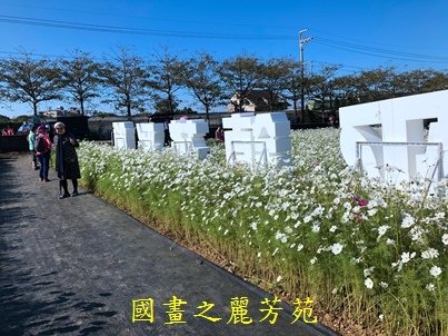 20191201---平鎮花彩節 (84).jpg