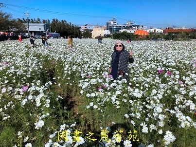 20191201---平鎮花彩節 (81).jpg