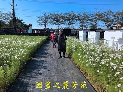 20191201---平鎮花彩節 (85).jpg