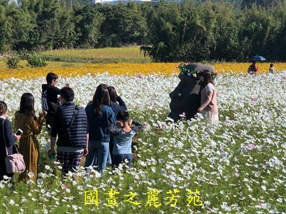 20191201---平鎮花彩節 (98).jpg