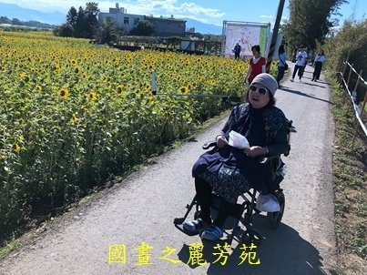 20191201---平鎮花彩節 (130).jpg