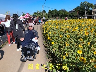 20191201---平鎮花彩節 (125).jpg