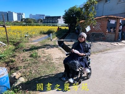 20191201---平鎮花彩節 (135).jpg