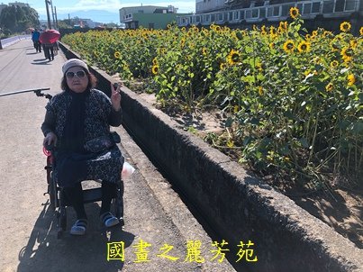 20191201---平鎮花彩節 (101).jpg