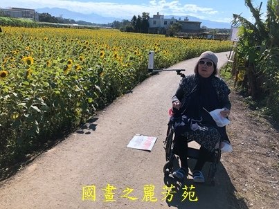 20191201---平鎮花彩節 (128).jpg