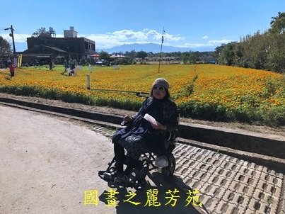 20191201---平鎮花彩節 (132).jpg