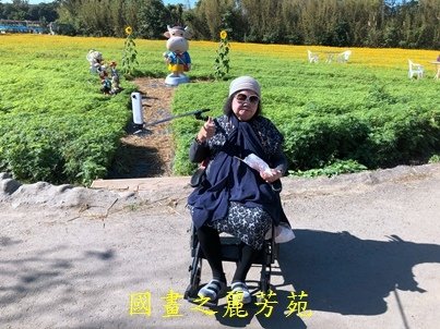 20191201---平鎮花彩節 (138).jpg