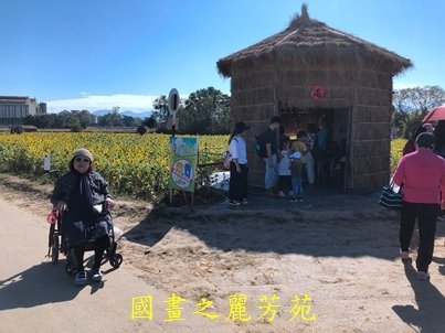 20191201---平鎮花彩節 (154).jpg