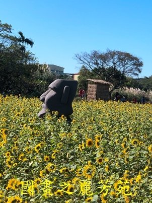 20191201---平鎮花彩節 (158).jpg