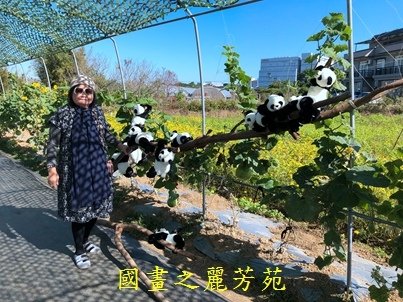 20191201---平鎮花彩節 (183).jpg