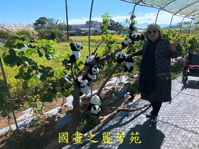 20191201---平鎮花彩節 (187).jpg