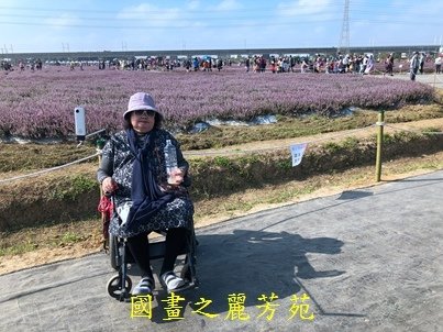 20191201---楊梅仙草花節 (27).jpg