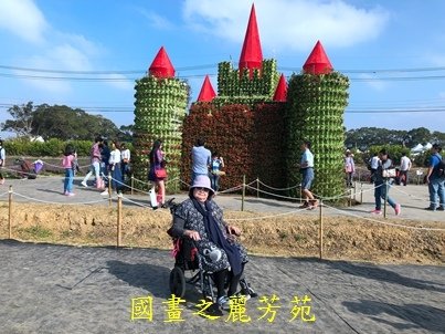 20191201---楊梅仙草花節 (50).jpg