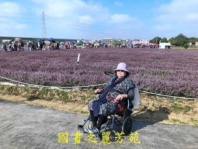 20191201---楊梅仙草花節 (53).jpg