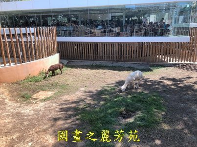 202010 新竹市立動物園 (25).jpg