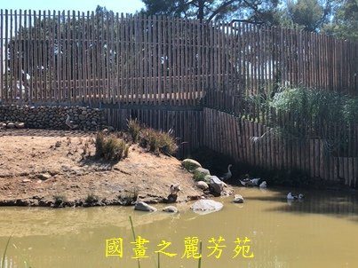 202010 新竹市立動物園 (31).jpg