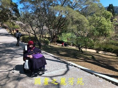 20210130 角板山賞梅花 (57).jpg