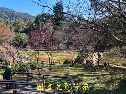 20210130 角板山賞梅花 (77).jpg