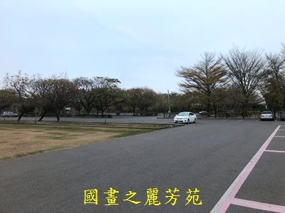 20210227---彰化溪州公園 (12).jpg