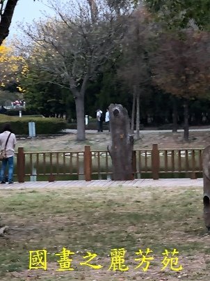 20210227---彰化溪州公園 (188).jpg