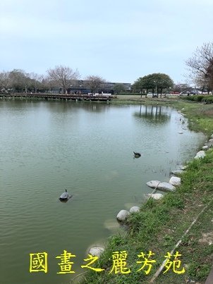 20210227---彰化溪州公園 (234).jpg