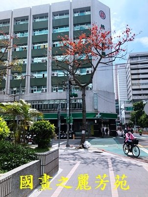 桃園街景 (12).jpg