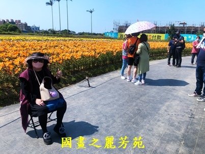 1110409---桃園海芋節 (10).jpg