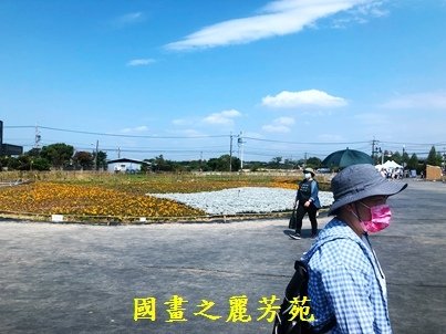 1110409---桃園海芋節 (19).jpg