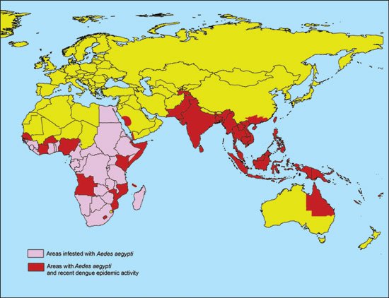 Dengue_Eastern.jpg