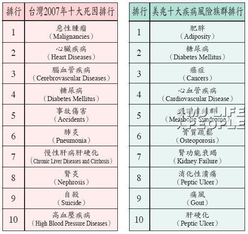 台灣2007年十大死因排行與美兆十大疾病風險族群排行