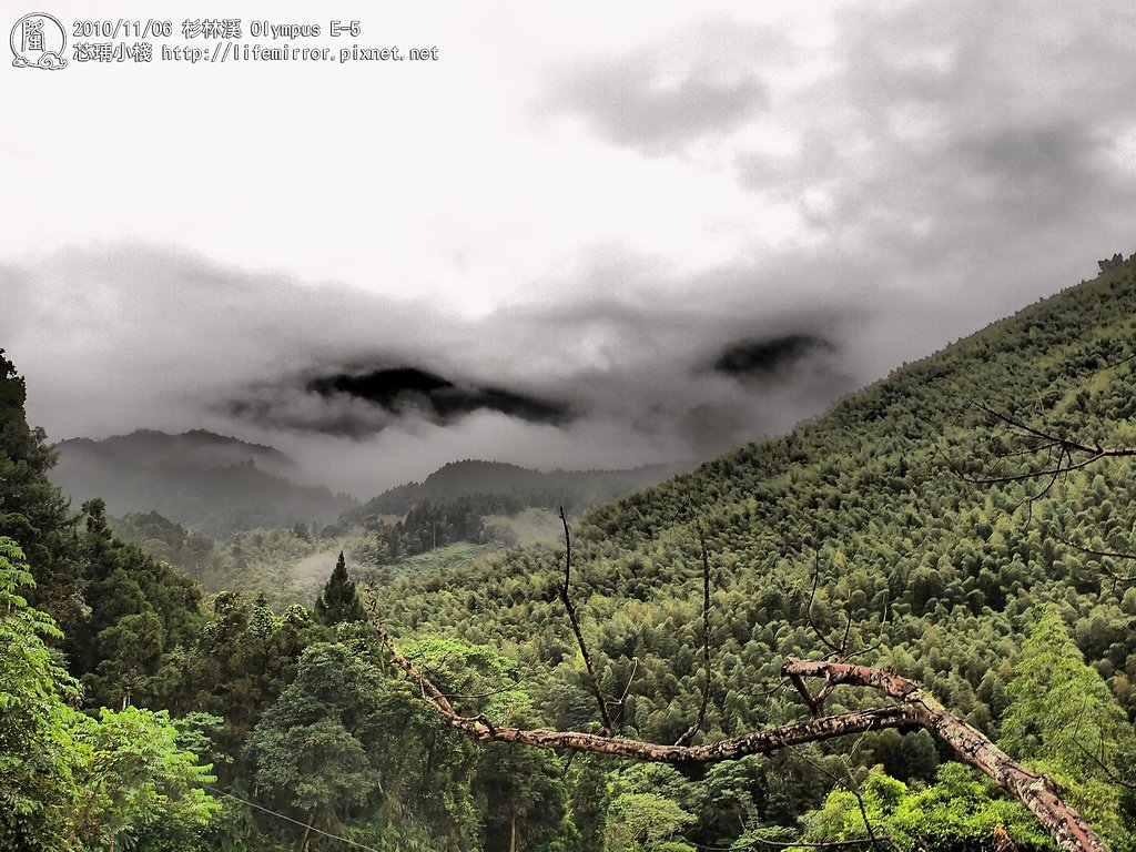 杉林溪山嵐一景 + 戲劇性效果