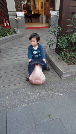 DSC01112.jpg