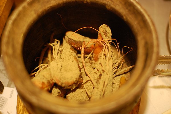 DSC_4832.JPG
