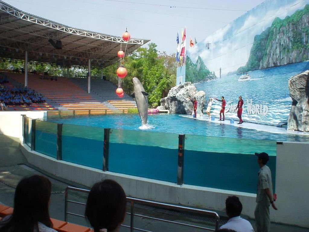 2-2賽福瑞海洋世界+野生動物園4.jpg