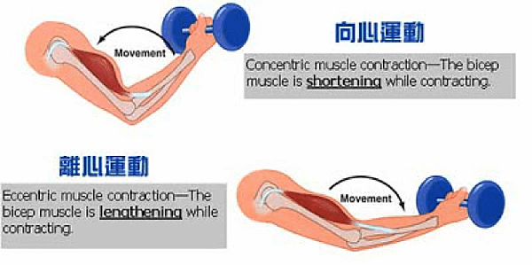 離心運動.png