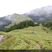 DSC_0826.JPG