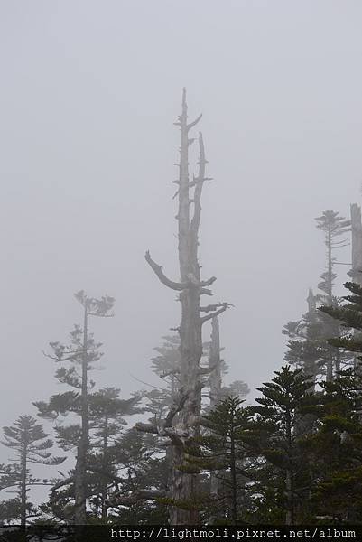 DSC_1395.JPG