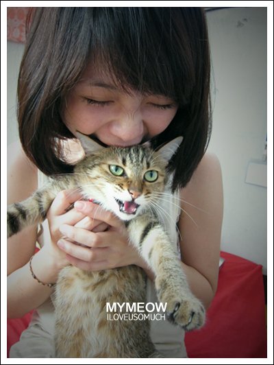 mymeow.jpg