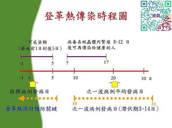 登革熱3.jpg