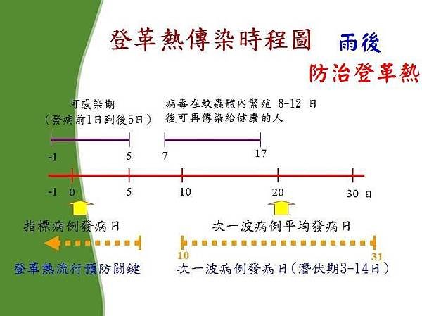 雨後防治登革熱6