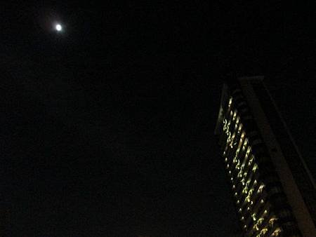 IMG_2466.jpg