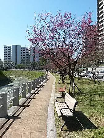 20160302_103002.jpg