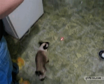 00 (23).gif