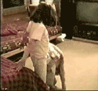 8.gif