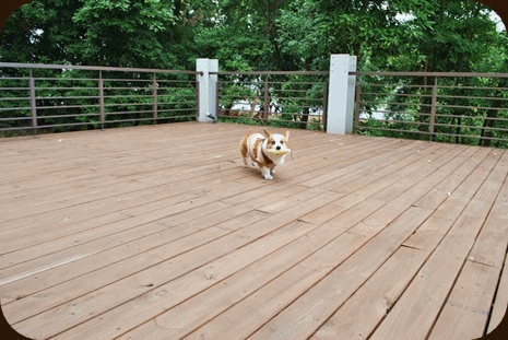 anigif9.gif