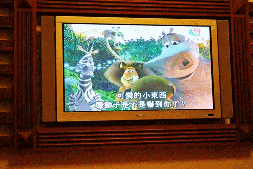 anigif2.gif