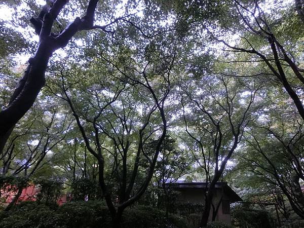 CIMG0119.JPG