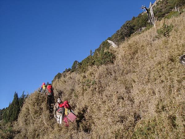 請輸入圖片標題